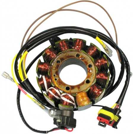RICK'S MOTORSPORT ELECTRIC Estátor Polaris Sportsman 600/700 (03-04) RICK'S Estátors