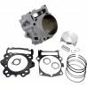 CYLINDER WORKS Kit Cilindro WORKS Yamaha Raptor 700 Kits Cilindro