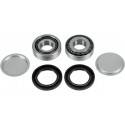 ALL BALLS Kit Reparación Basculante Honda / Polaris 28-1053 Basculante