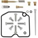 ALL BALLS Kit Reparación Carburador Arctic Cat 1058 Carburador