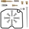 ALL BALLS Kit Reparación Carburador Arctic Cat 1069 Carburador