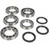 ALL BALLS Kit Reparación Diferencial Delantero Yamaha Grizzly / Big Bear / YXZ 25-2073 Diferencial