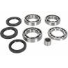 ALL BALLS Kit Reparación Diferencial Trasero Arctic Cat Wildcat 25-2101 Diferencial