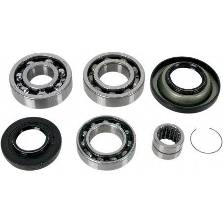 ALL BALLS Kit Reparación Diferencial Trasero Can Am 25-2067 Diferencial