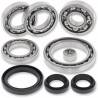 ALL BALLS Kit Reparación Diferencial Trasero Can Am 25-2106 Diferencial