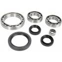 ALL BALLS Kit Reparación Diferencial Trasero Yamaha Grizzly 550/700 25-2074 Diferencial