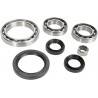 ALL BALLS Kit Reparación Diferencial Trasero Yamaha Grizzly 550/700 25-2074 Diferencial