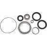 ALL BALLS Kit Reparación Diferencial Trasero Yamaha Grizzly 660 / Rhino Diferencial