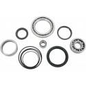 ALL BALLS Kit Reparación Diferencial Trasero Yamaha Varios 25-2033 Diferencial