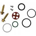 ALL BALLS Kit Reparación Grifo Gasolina 1017 Husqvarna TE (14-19) Grifo Gasolina