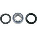 ALL BALLS Kit Reparación Rueda Delantera Arctic Cat (98-04) Rueda-Buje