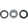 ALL BALLS Kit Reparación Rueda Delantera Arctic Cat (98-04) Rueda-Buje