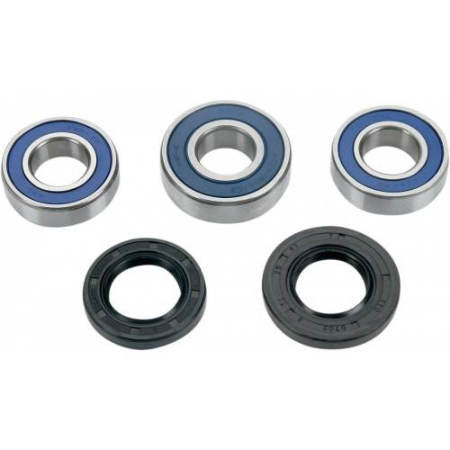 ALL BALLS Kit Reparación Rueda Trasera Gas Gas EC/MC 2T (96-03) Rueda