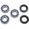 ALL BALLS Kit Reparación Rueda Trasera Kawasaki KX 125/250 (97-02) KX 500 (94-04) Rueda