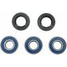 ALL BALLS Kit Reparación Rueda Trasera Kawasaki KX 80 / 85 / 100 Rueda