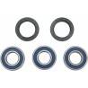 ALL BALLS Kit Reparación Rueda Trasera Suzuki RM 125 (95-99) RM 250 (96-99) Rueda