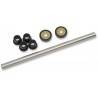 ALL BALLS Kit Reparación Trapecios Delanteros 1163 Arctic Cat Wildcat 700 Trapecios