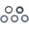 ALL BALLS Kit Reparación Trasero Honda TRX 250EX (01-08) Rueda-Buje