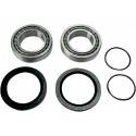 ALL BALLS Kit Reparación Trasero Quad KTM / Polaris Predator 500 (03) Rueda-Buje