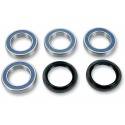 ALL BALLS Kit Reparación Trasero Yamaha Raptor 700 / YFZ 450 (06-12) Rueda-Buje