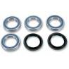 ALL BALLS Kit Reparación Trasero Yamaha Raptor 700 / YFZ 450 (06-12) Rueda-Buje