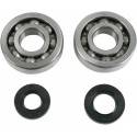 ALL BALLS Kit Rodamientos Cigueñal Kawasaki KX 250 (02-07) KX 250F (04-07) Rodamientos Motor
