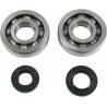 ALL BALLS Kit Rodamientos Cigueñal Kawasaki KX 250 (02-07) KX 250F (04-07) Rodamientos Motor