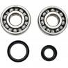 ALL BALLS Kit Rodamientos Cigueñal Suzuki RM 125 (89-08) Rodamientos Motor