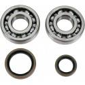 ALL BALLS Kit Rodamientos Cigueñal Suzuki RM 250 (96-02) Rodamientos Motor