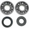 ALL BALLS Kit Rodamientos Cigueñal Yamaha YZ 125 (01-04) Rodamientos Motor
