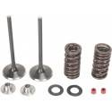 MOOSE RACING HARD PARTS Kit Válvulas Admisión Honda CRF 250R (04-09) CRF 250X (04-17) MOOSE RACING Válvulas
