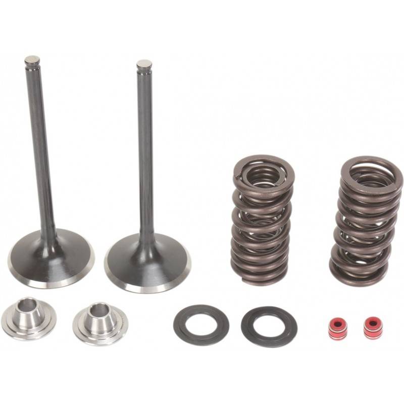 MOOSE RACING HARD PARTS Kit Válvulas Admisión Honda CRF 250R (04-09) CRF 250X (04-17) MOOSE RACING Válvulas