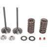 MOOSE RACING HARD PARTS Kit Válvulas Admisión Honda CRF 250R (04-09) CRF 250X (04-17) MOOSE RACING Válvulas