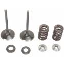 MOOSE RACING HARD PARTS Kit Válvulas Admisión Honda CRF 450X (05-17) MOOSE RACING Válvulas