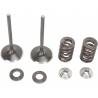 MOOSE RACING HARD PARTS Kit Válvulas Admisión Honda CRF 450X (05-17) MOOSE RACING Válvulas