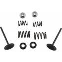 MOOSE RACING HARD PARTS Kit Válvulas Admisión Suzuki LTR 450 MOOSE RACING Válvulas