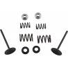MOOSE RACING HARD PARTS Kit Válvulas Admisión Suzuki LTR 450 MOOSE RACING Válvulas