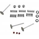 MOOSE RACING HARD PARTS Kit Válvulas Admisión Yamaha YFZ 450 /R WR450F (03-15) YZ 450F (03-09) MOOSE RACING Válvulas