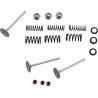 MOOSE RACING HARD PARTS Kit Válvulas Admisión Yamaha YFZ 450 /R WR450F (03-15) YZ 450F (03-09) MOOSE RACING Válvulas