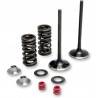 MOOSE RACING HARD PARTS Kit Válvulas Escape Honda CRF 250R (04-07) CRF 250X (04-17) MOOSE RACING Válvulas