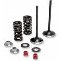 MOOSE RACING HARD PARTS Kit Válvulas Escape Honda CRF 450X (05-17) MOOSE RACING Válvulas