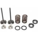 MOOSE RACING HARD PARTS Kit Válvulas Escape KTM 400/450 (00-09) MOOSE RACING Válvulas