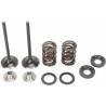 MOOSE RACING HARD PARTS Kit Válvulas Escape KTM 400/450 (00-09) MOOSE RACING Válvulas