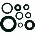 MOOSE RACING HARD PARTS Retenes de Motor Honda CR 250R (92-01) MOOSE RACING Retenes Motor
