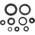 MOOSE RACING HARD PARTS Retenes de Motor Honda CRF 250R (04-09) CRF 250X (04-17) MOOSE RACING Retenes Motor