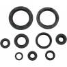 MOOSE RACING HARD PARTS Retenes de Motor Honda CRF 250R (04-09) CRF 250X (04-17) MOOSE RACING Retenes Motor