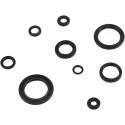 MOOSE RACING HARD PARTS Retenes de Motor Honda CRF 250R (10-17) MOOSE RACING Retenes Motor