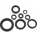 MOOSE RACING HARD PARTS Retenes de Motor Honda CRF 250R (18-19) MOOSE RACING Retenes Motor