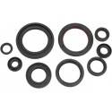 MOOSE RACING HARD PARTS Retenes de Motor Honda CRF 450R (09-16) MOOSE RACING Retenes Motor
