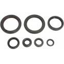 MOOSE RACING HARD PARTS Retenes de Motor Honda CRF 450R/RX (17-19) MOOSE RACING Retenes Motor